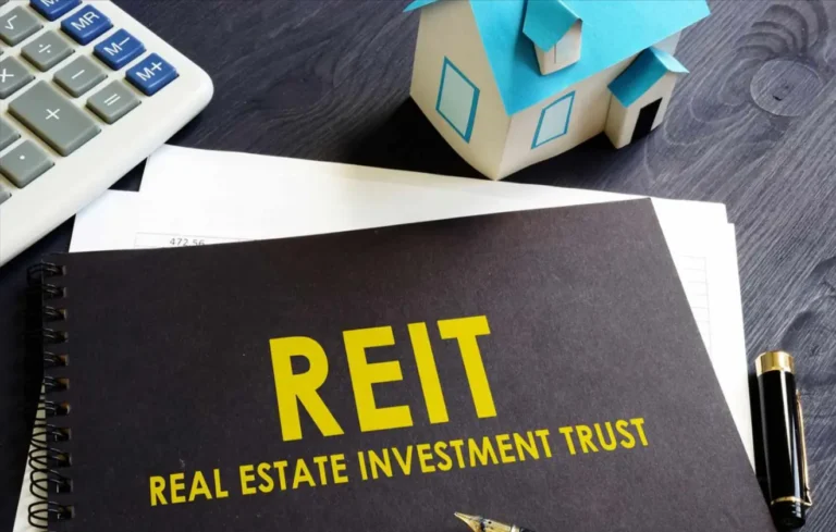 Real Estate Investment Trusts (REITs)