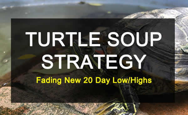 turtle soup trading strategy success rate